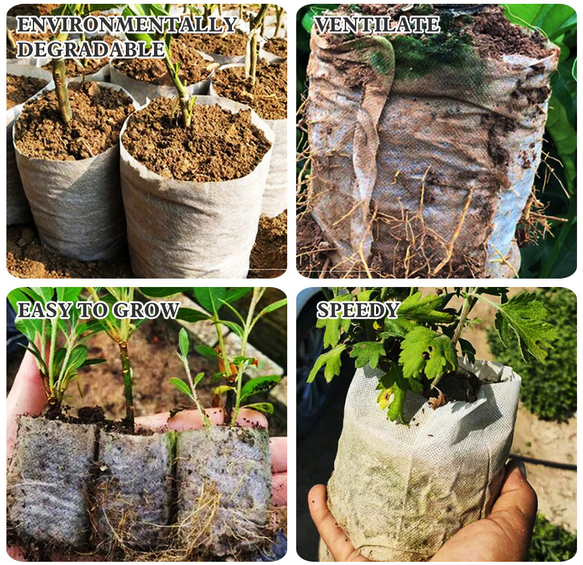 biodegradable grow bags