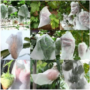 fruit protection bags