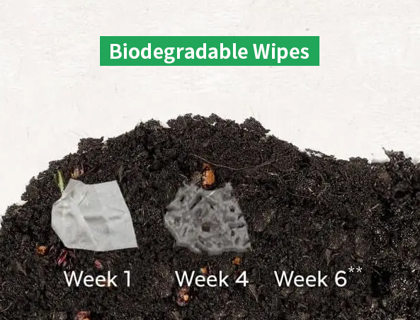 are biodegradable wipes bad for the environment